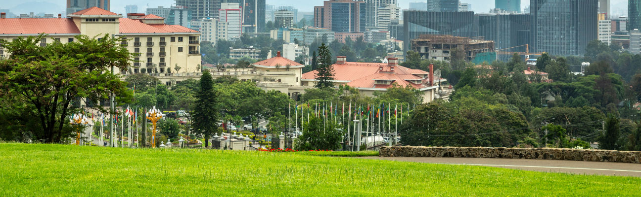 Development Projects